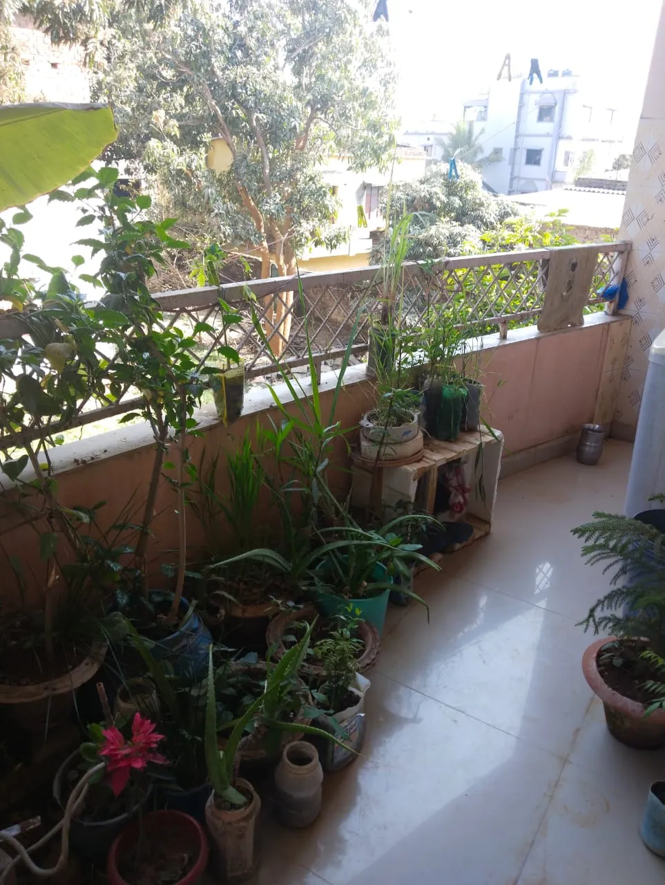 2BHK Flat for Sale in Patel Nagar, Hatia, Ranchi | ₹37 Lakh - 4